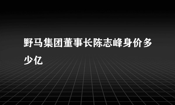 野马集团董事长陈志峰身价多少亿