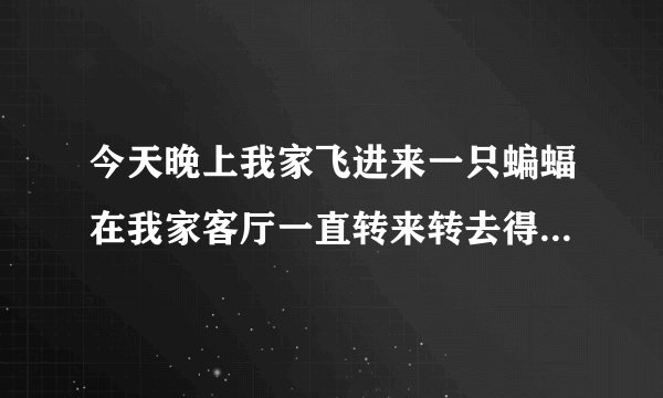 今天晚上我家飞进来一只蝙蝠在我家客厅一直转来转去得，后来又在我得房间转这是好的征兆还是不好的呢？