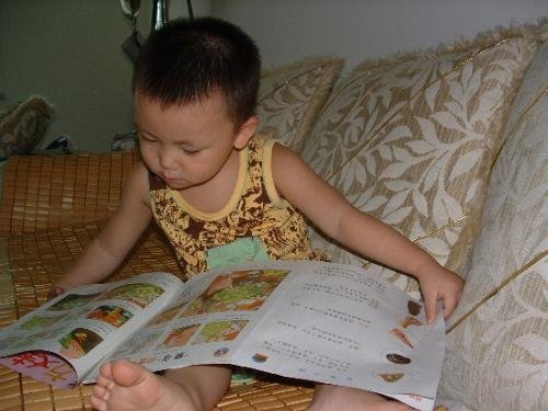 紫惑情魅的内容简介：