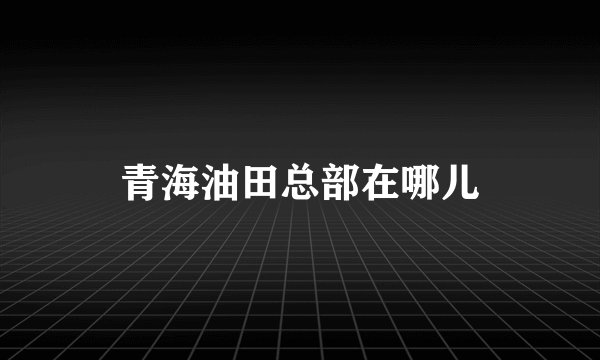 青海油田总部在哪儿