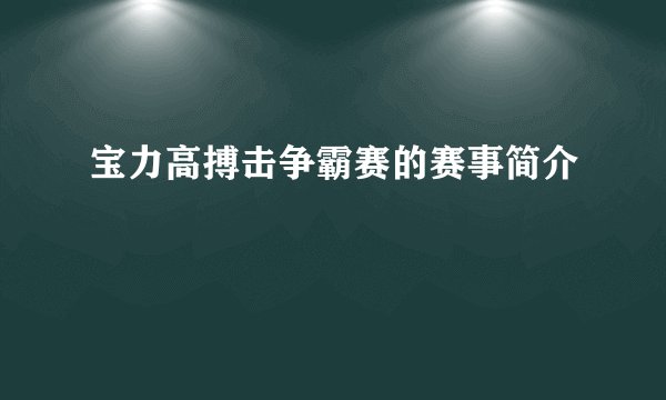 宝力高搏击争霸赛的赛事简介