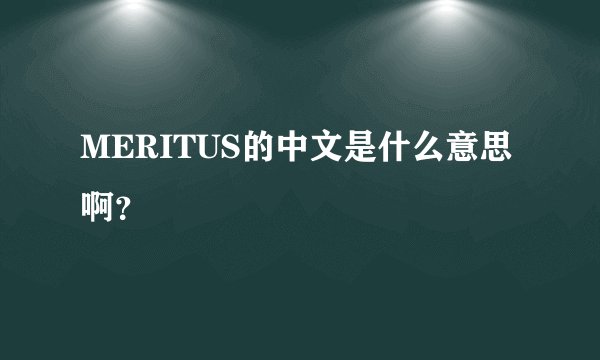 MERITUS的中文是什么意思啊？