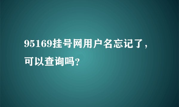95169挂号网用户名忘记了，可以查询吗？