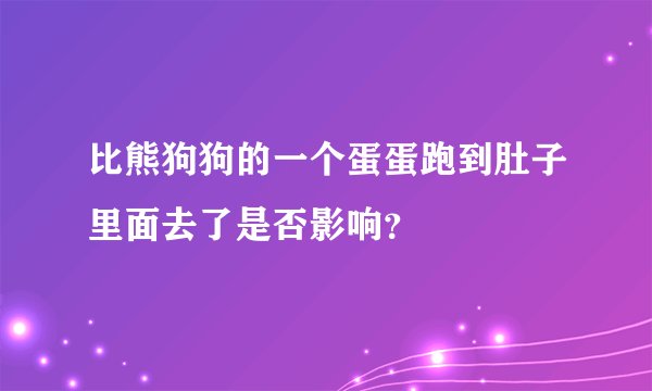 比熊狗狗的一个蛋蛋跑到肚子里面去了是否影响？