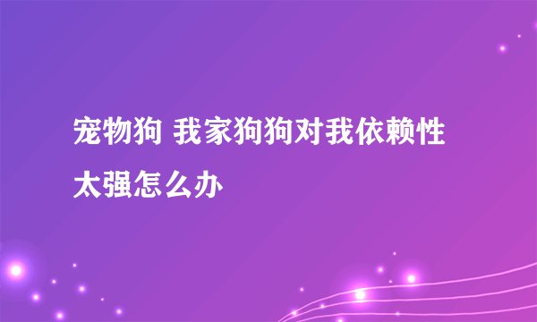 宠物狗 我家狗狗对我依赖性太强怎么办