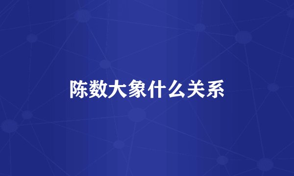 陈数大象什么关系