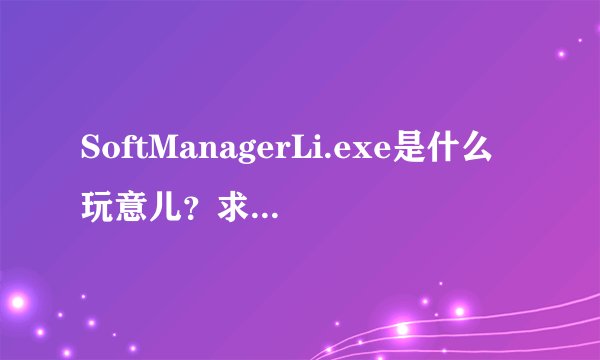 SoftManagerLi.exe是什么玩意儿？求高手解答！