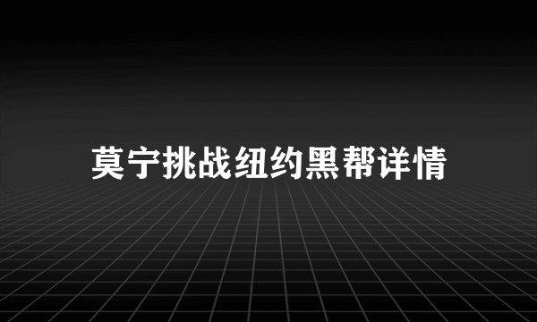 莫宁挑战纽约黑帮详情