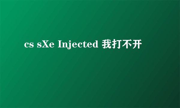 cs sXe Injected 我打不开