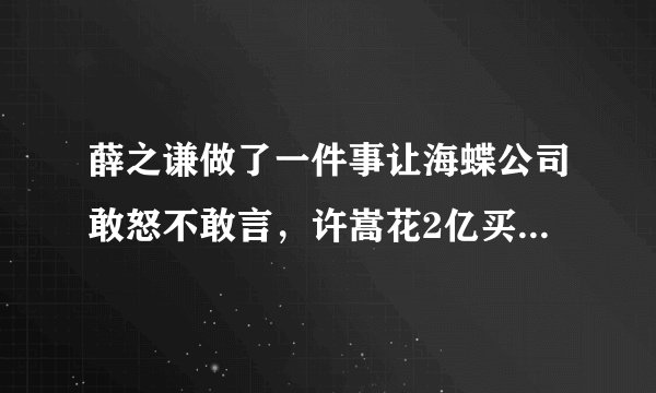薛之谦做了一件事让海蝶公司敢怒不敢言，许嵩花2亿买所有的版权