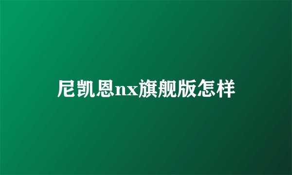 尼凯恩nx旗舰版怎样