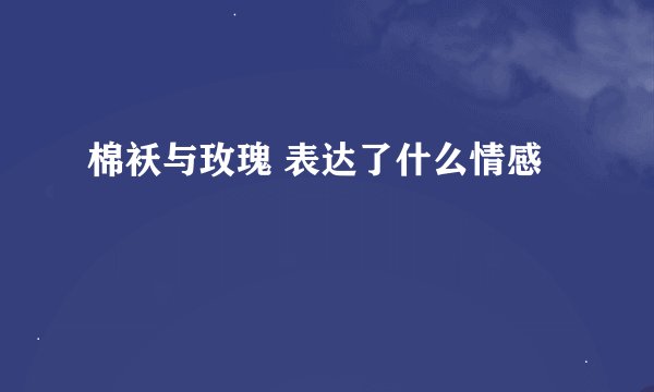 棉袄与玫瑰 表达了什么情感