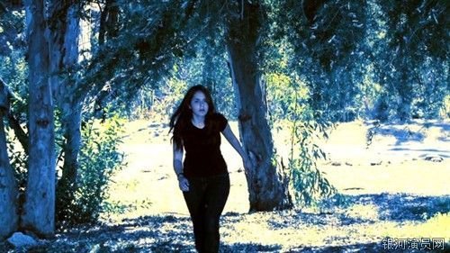 白雪公主：一个致命的夏天的剧情简介