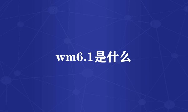 wm6.1是什么