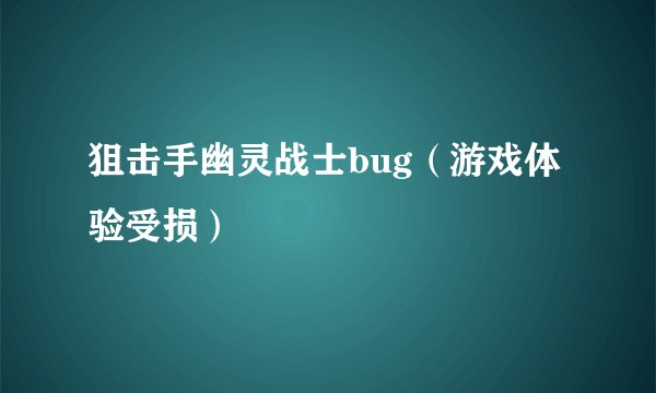 狙击手幽灵战士bug（游戏体验受损）