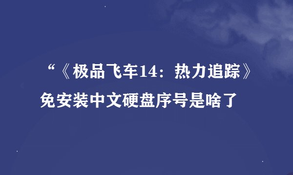 “《极品飞车14：热力追踪》免安装中文硬盘序号是啥了