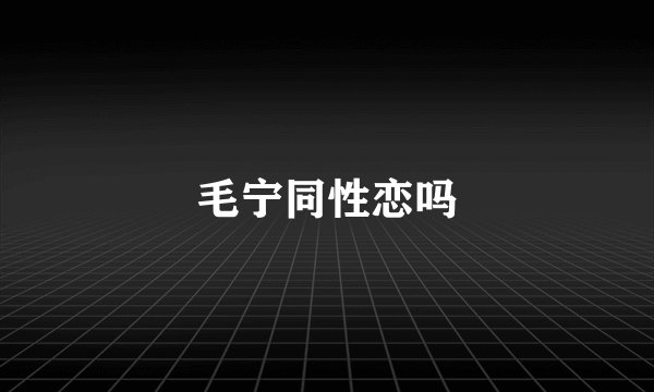 毛宁同性恋吗