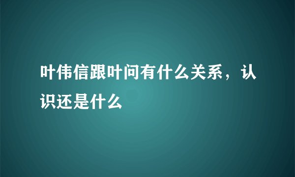 叶伟信跟叶问有什么关系，认识还是什么