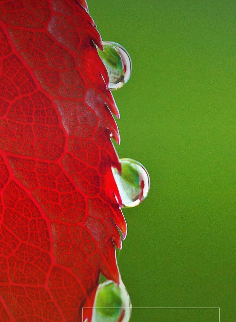 如果你被外界隔绝的生活 你除了读书学习看报 还能干嘛？