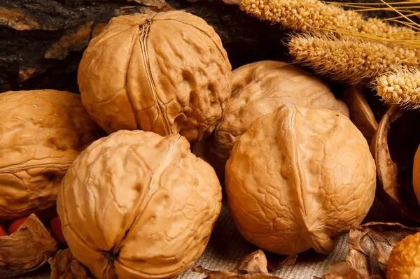 三十种b哪个好用