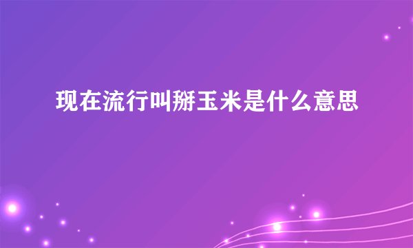 现在流行叫掰玉米是什么意思