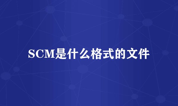 SCM是什么格式的文件