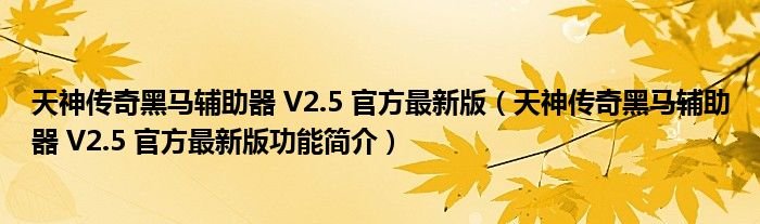 天神传奇黑马辅助器V25官方最新版天神传奇黑马辅助器V25官方最新版功能简介