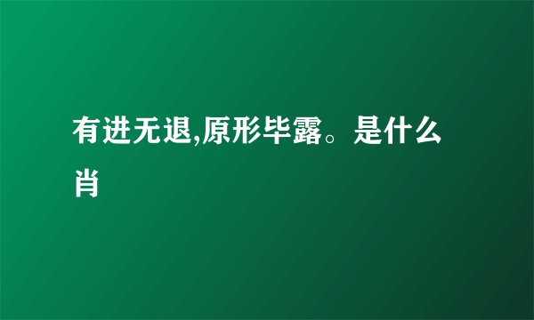 有进无退,原形毕露。是什么肖