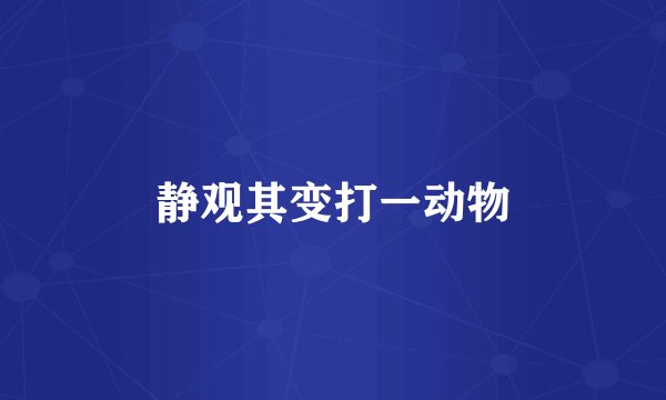 静观其变打一动物