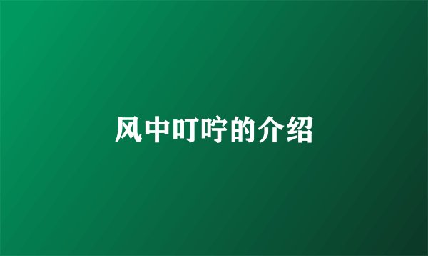 风中叮咛的介绍