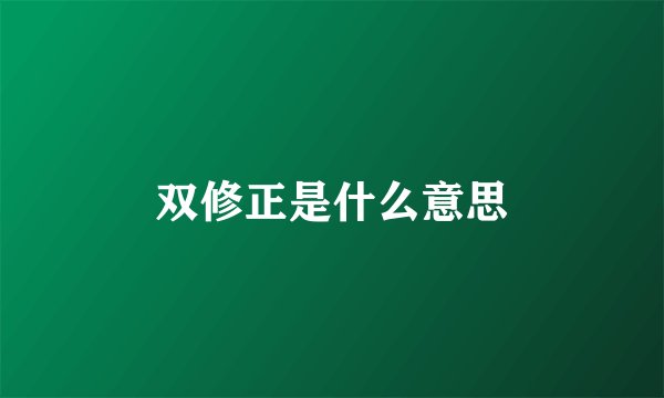 双修正是什么意思
