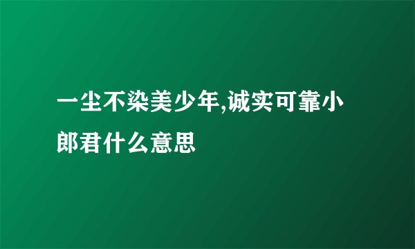 一尘不染美少年,诚实可靠小郎君什么意思