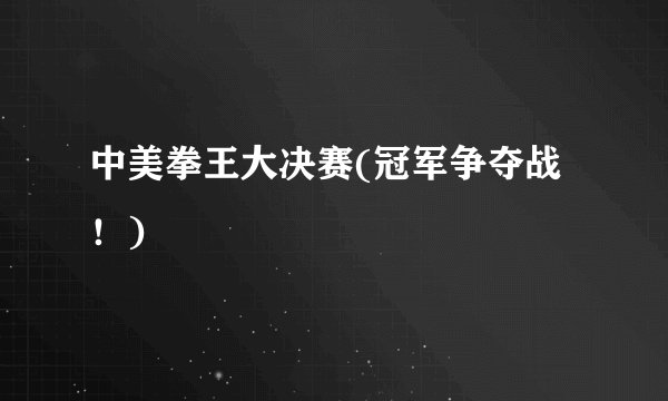 中美拳王大决赛(冠军争夺战！)