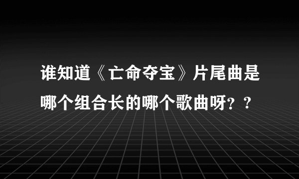 谁知道《亡命夺宝》片尾曲是哪个组合长的哪个歌曲呀？?