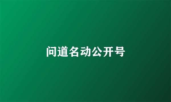 问道名动公开号