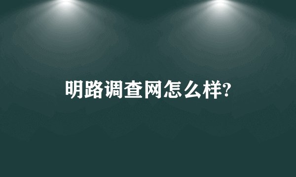 明路调查网怎么样?