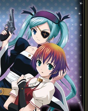 一个女主是除魔师并且两只眼睛颜色不同 ，其中一个女的用枪打自己可以变身成怪物，这个动漫叫什么名字？