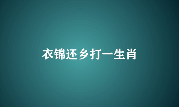 衣锦还乡打一生肖