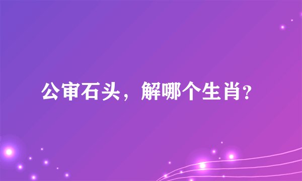 公审石头，解哪个生肖？