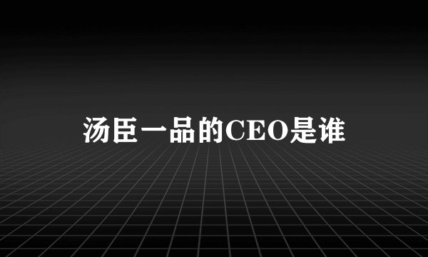汤臣一品的CEO是谁