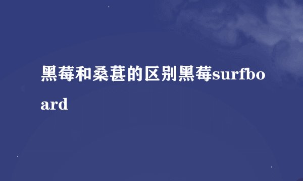 黑莓和桑葚的区别黑莓surfboard
