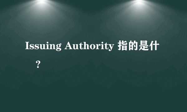 Issuing Authority 指的是什麼?