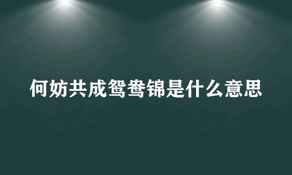 何妨共成鸳鸯锦是什么意思