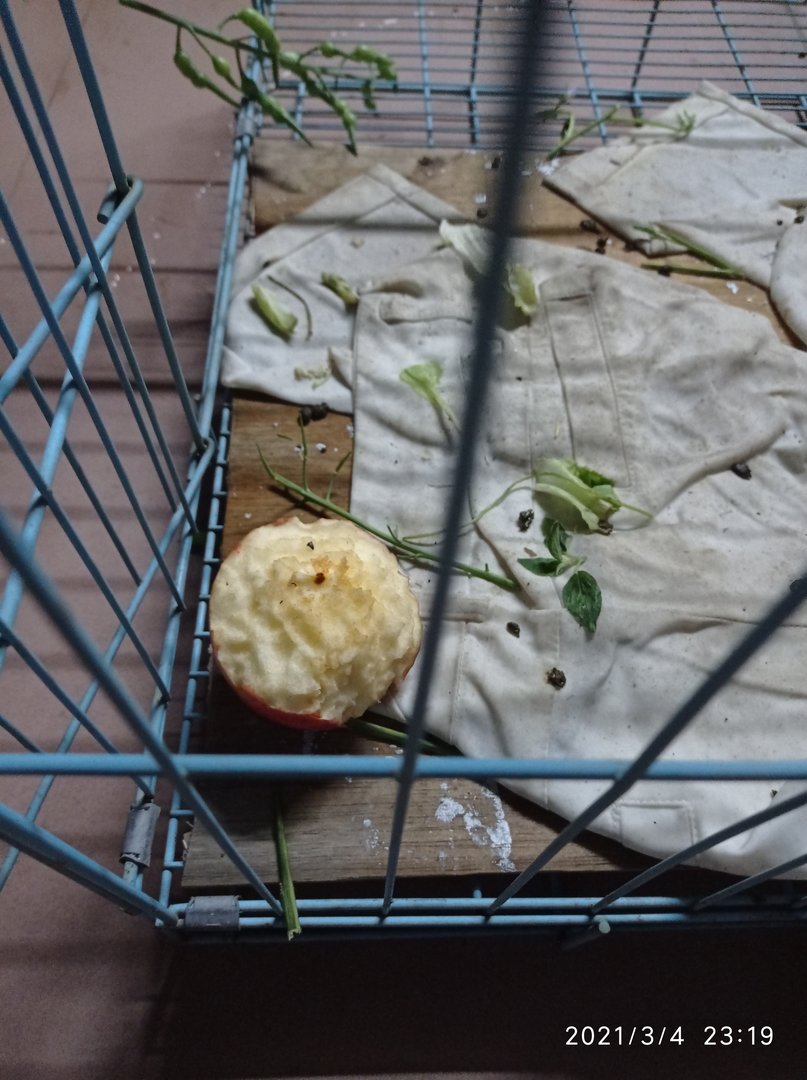 那明天就见一次吧是什么意思？