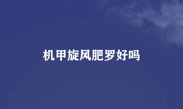 机甲旋风肥罗好吗