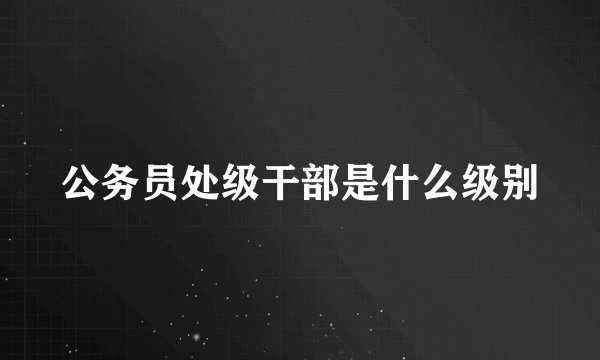 公务员处级干部是什么级别