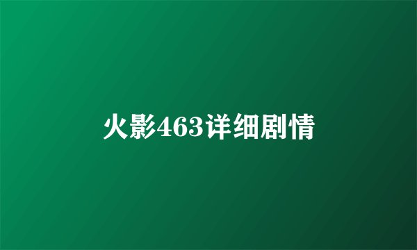 火影463详细剧情