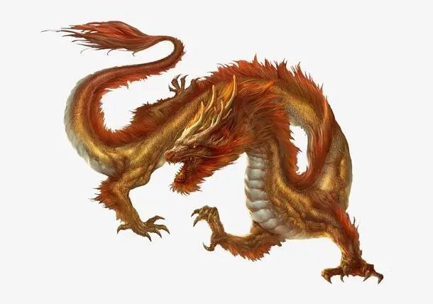 有影无踪打一个动物