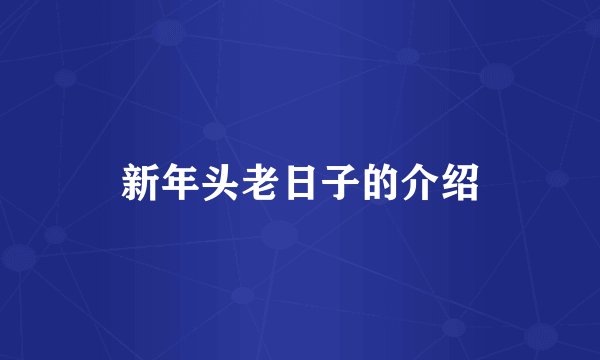 新年头老日子的介绍