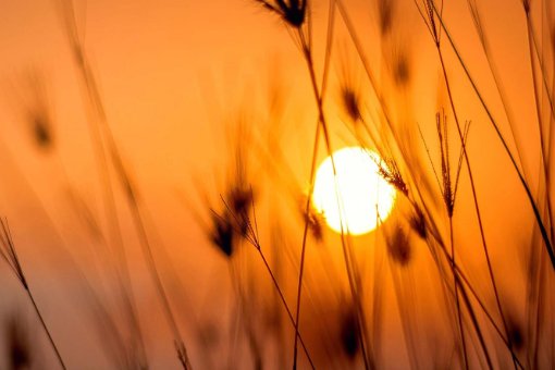 十五的月亮16元接对联